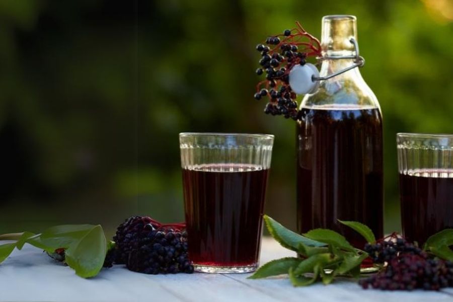 recept na sirup z černého bezu